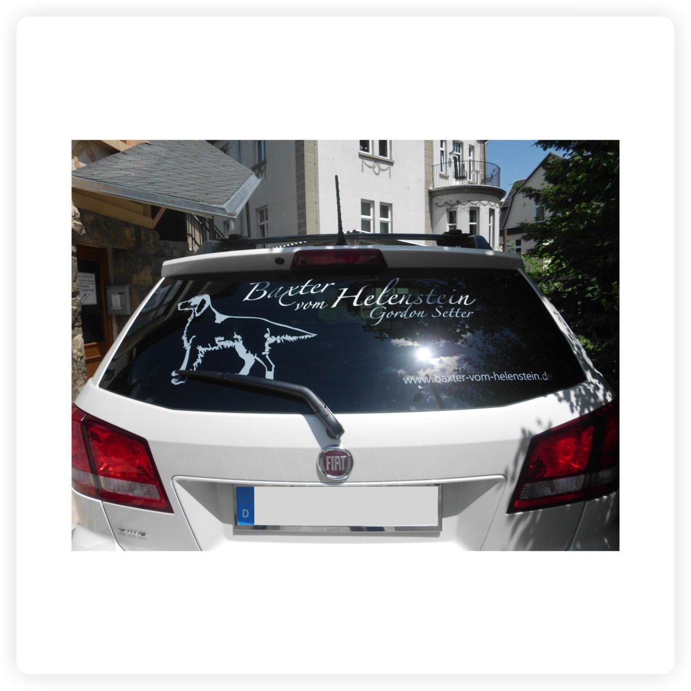 PKW mit Heckscheibenbeschriftung Weißer PKW mit individueller Heckscheibenbeschriftung, Hundemotiv, Schriftzug und Internetadresse.